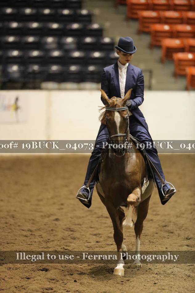 Proof 19BUCK_04073