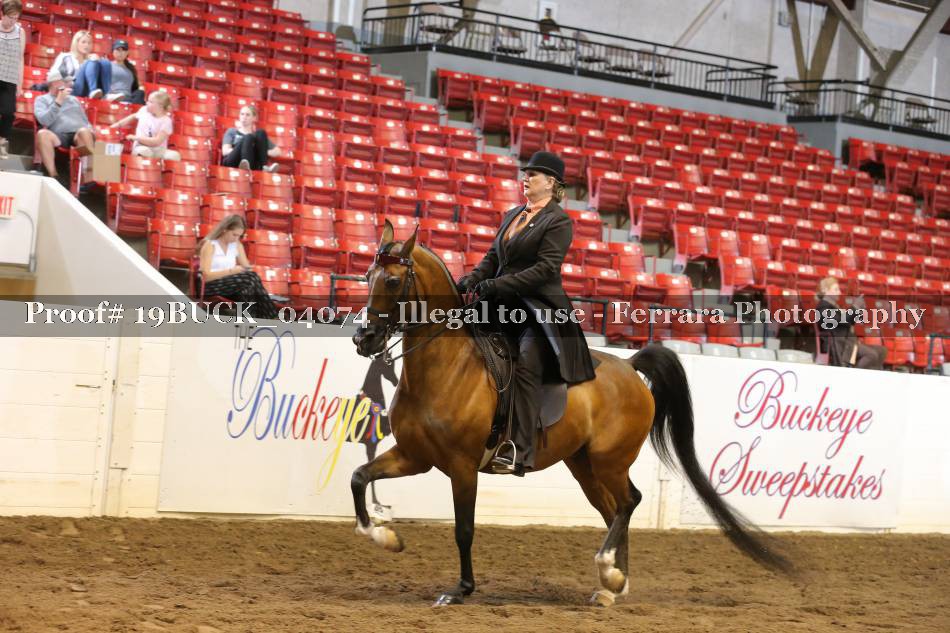 Proof 19BUCK_04074