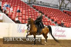 19BUCK_04074 proof