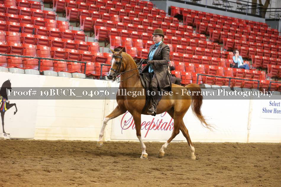 Proof 19BUCK_04076