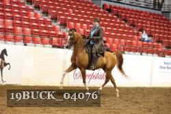 19BUCK_04076 proof