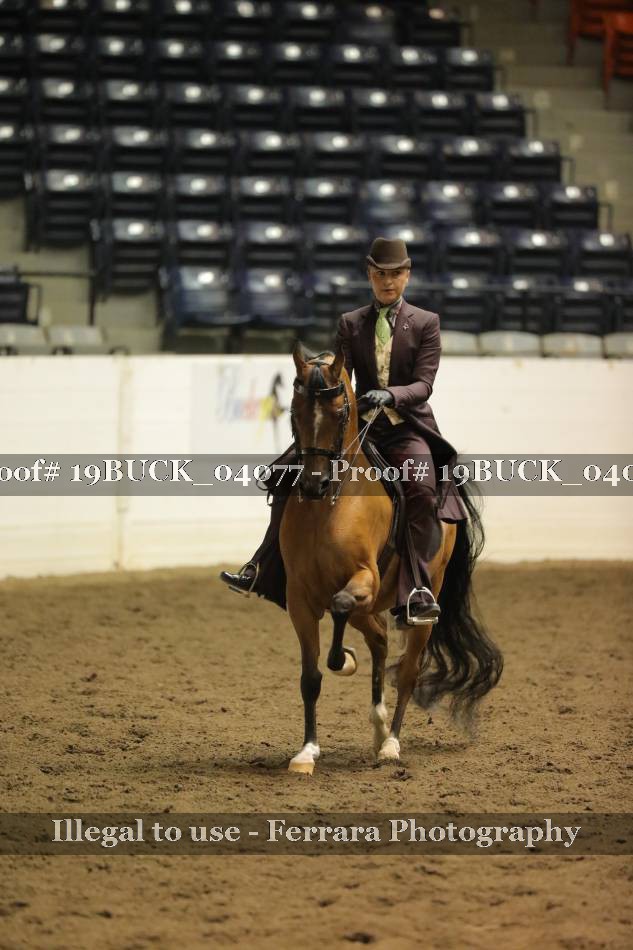 Proof 19BUCK_04077