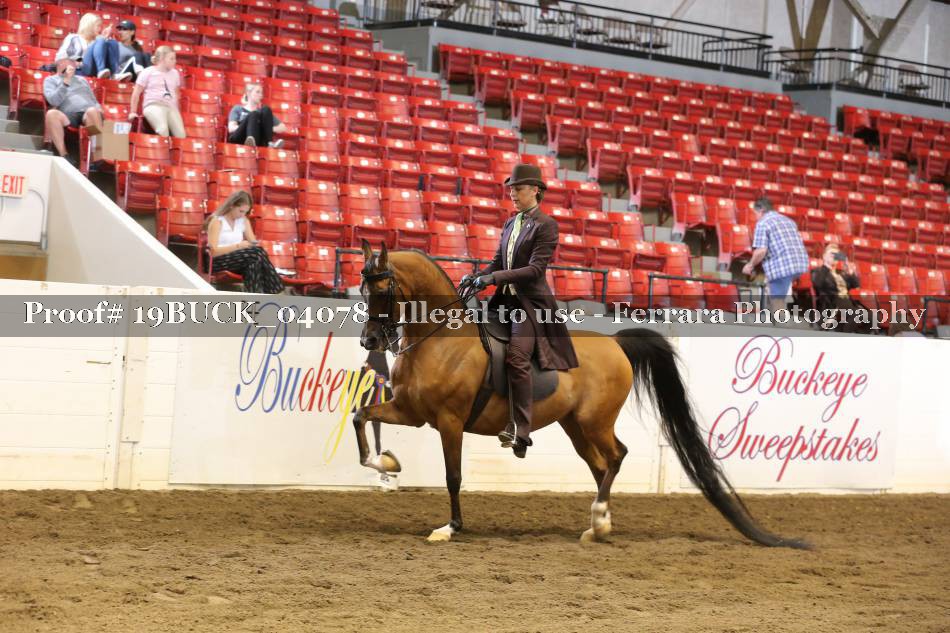Proof 19BUCK_04078