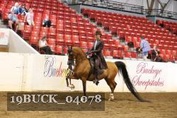 19BUCK_04078 proof