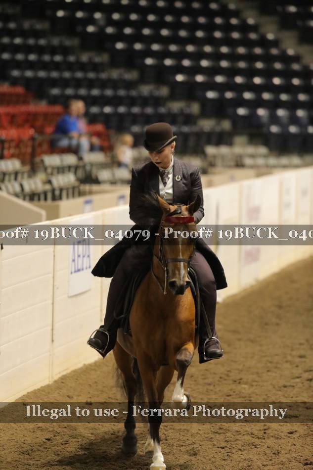 Proof 19BUCK_04079