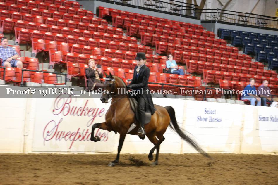 Proof 19BUCK_04080