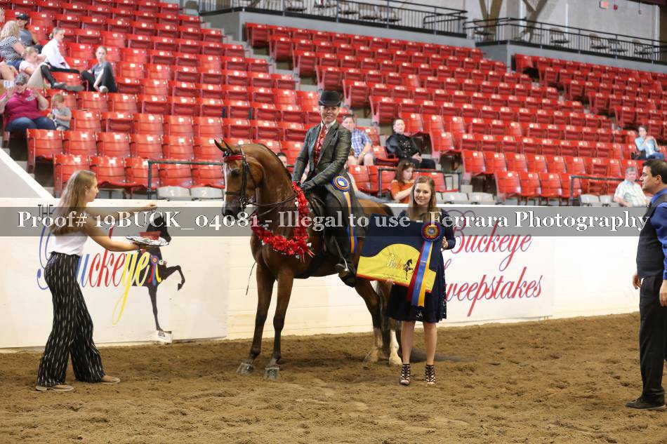 Proof 19BUCK_04081