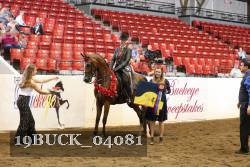 19BUCK_04081 proof
