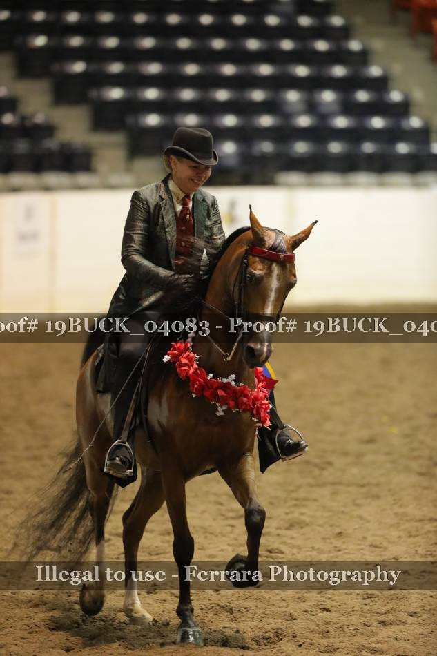Proof 19BUCK_04083
