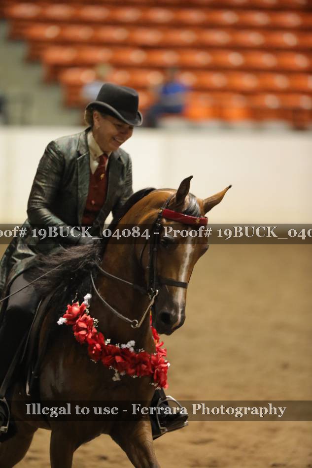 Proof 19BUCK_04084