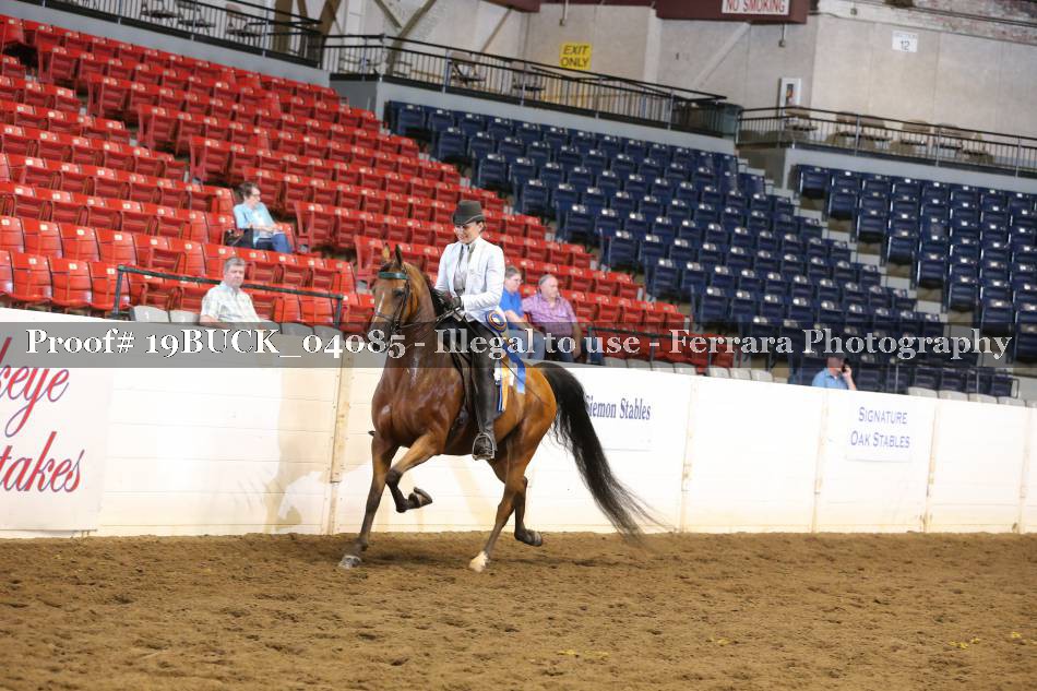 Proof 19BUCK_04085