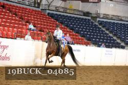 19BUCK_04085 proof