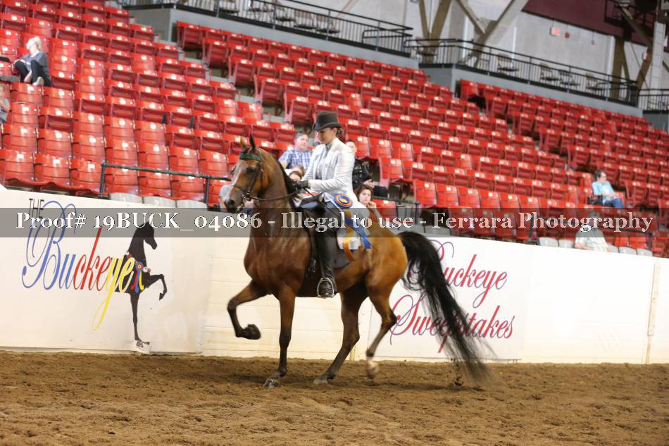 Proof 19BUCK_04086