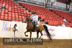 19BUCK_04086 proof