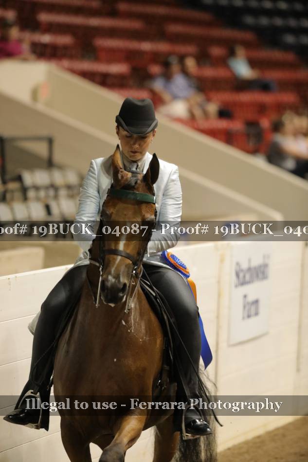Proof 19BUCK_04087