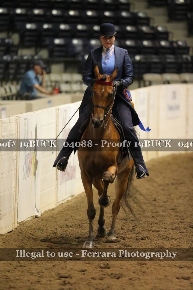 Proof 19BUCK_04088