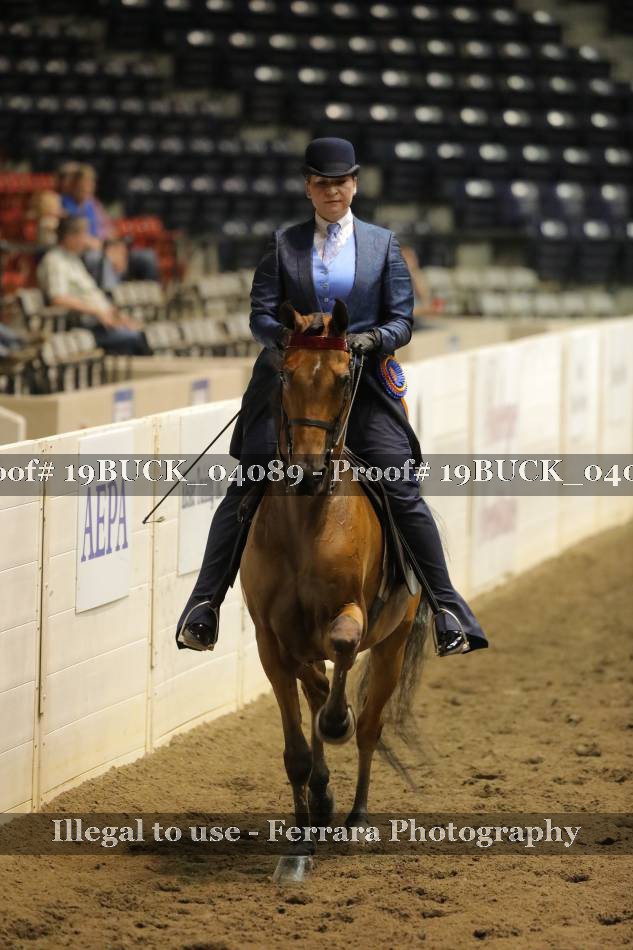 Proof 19BUCK_04089