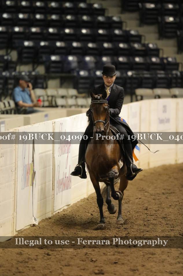 Proof 19BUCK_04090