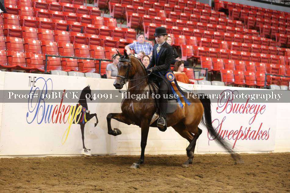 Proof 19BUCK_04091