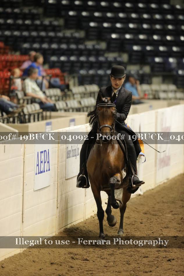 Proof 19BUCK_04092