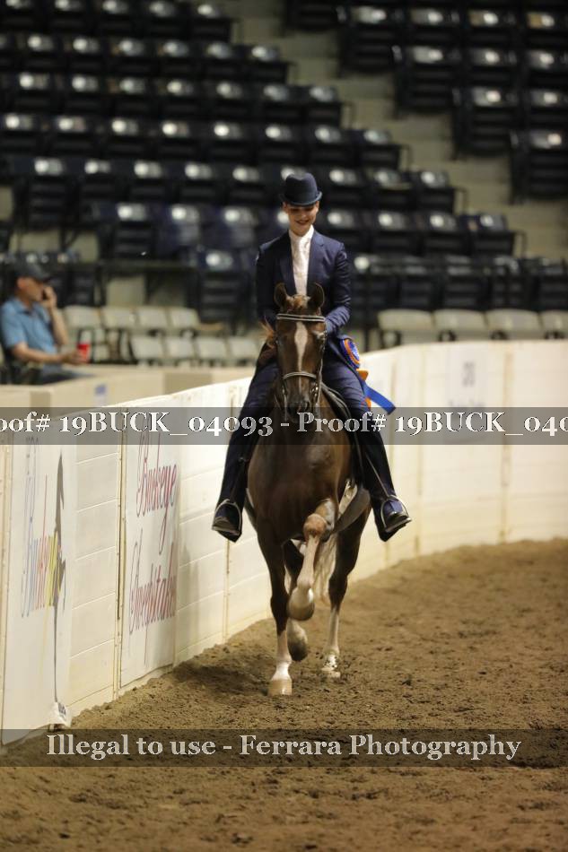 Proof 19BUCK_04093
