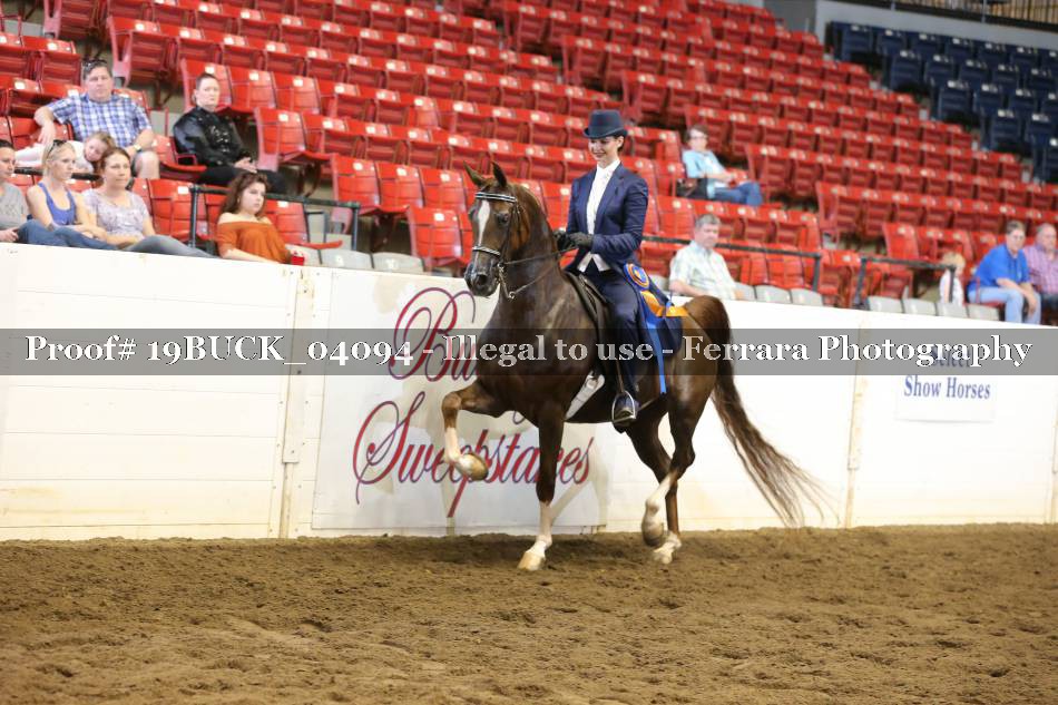 Proof 19BUCK_04094