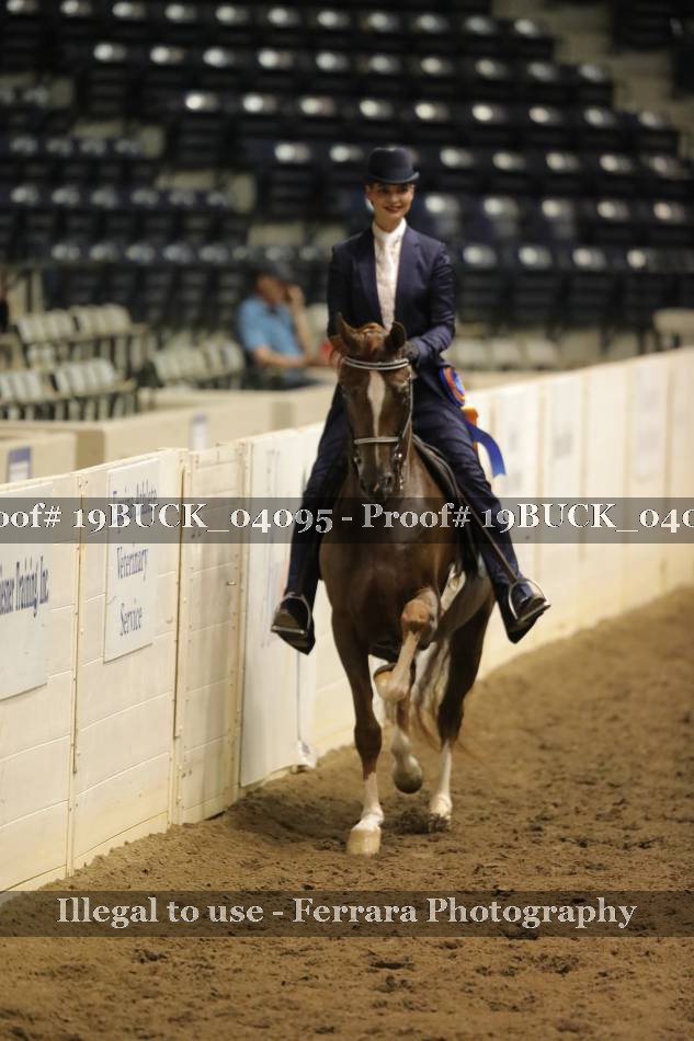 Proof 19BUCK_04095