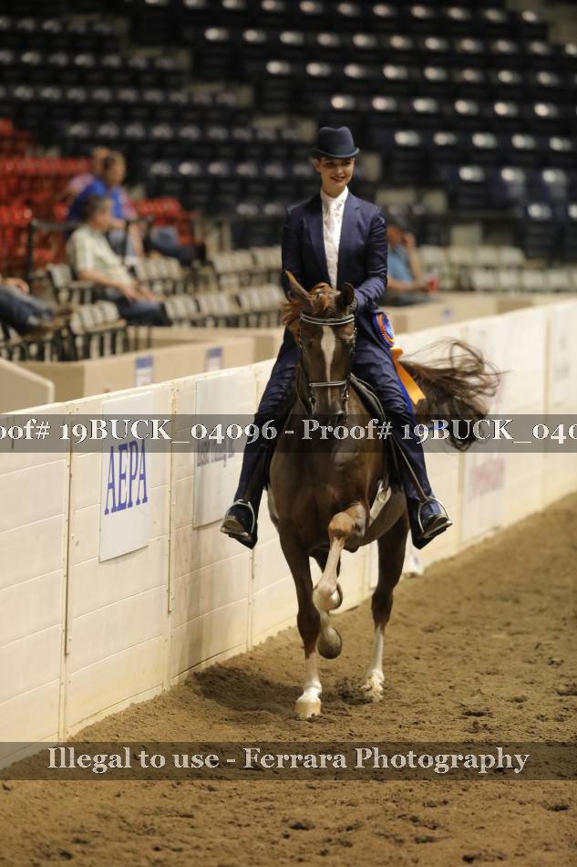 Proof 19BUCK_04096