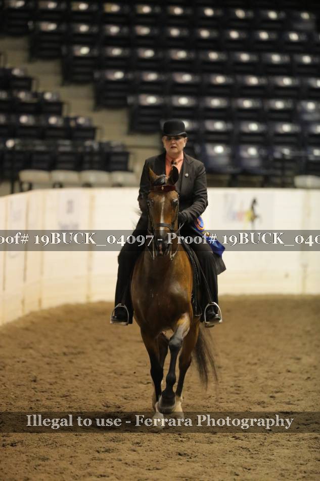 Proof 19BUCK_04097