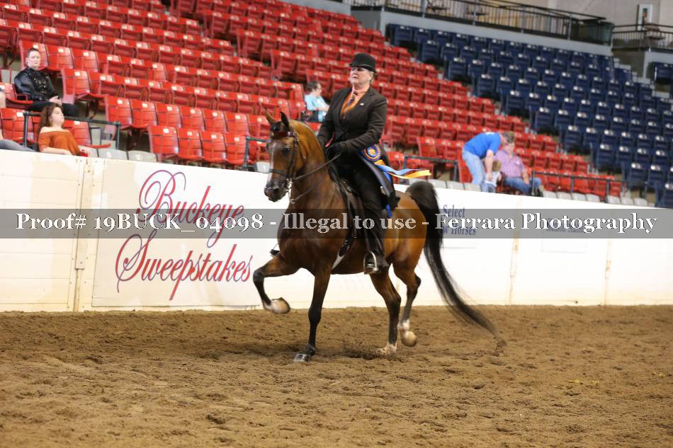 Proof 19BUCK_04098