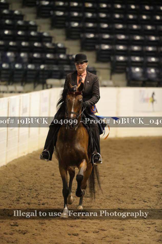 Proof 19BUCK_04099