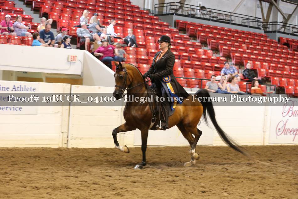 Proof 19BUCK_04100