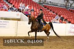 19BUCK_04100 proof