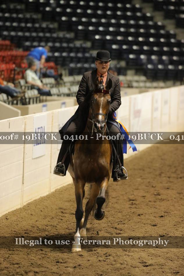 Proof 19BUCK_04101