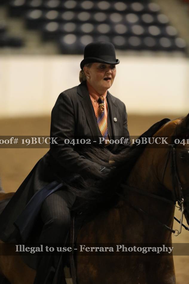 Proof 19BUCK_04102