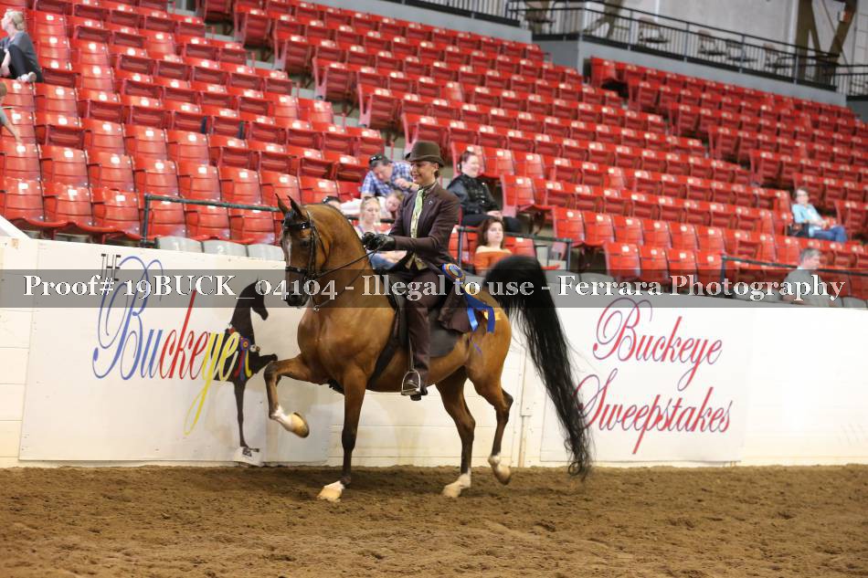 Proof 19BUCK_04104