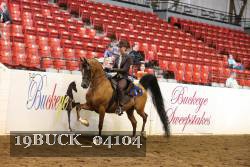 19BUCK_04104 proof