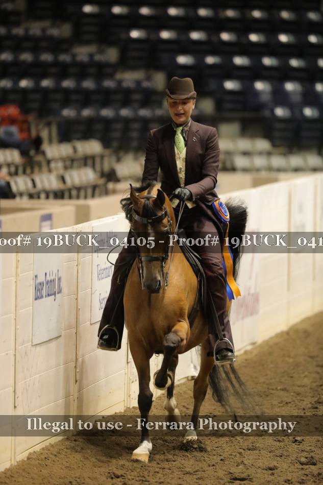Proof 19BUCK_04105