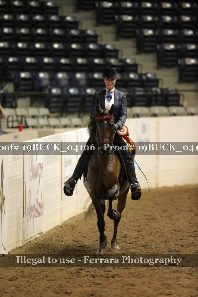 Proof 19BUCK_04106