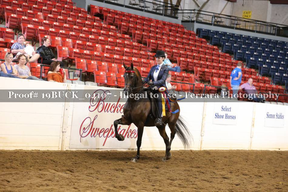 Proof 19BUCK_04107