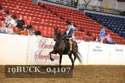 19BUCK_04107 proof