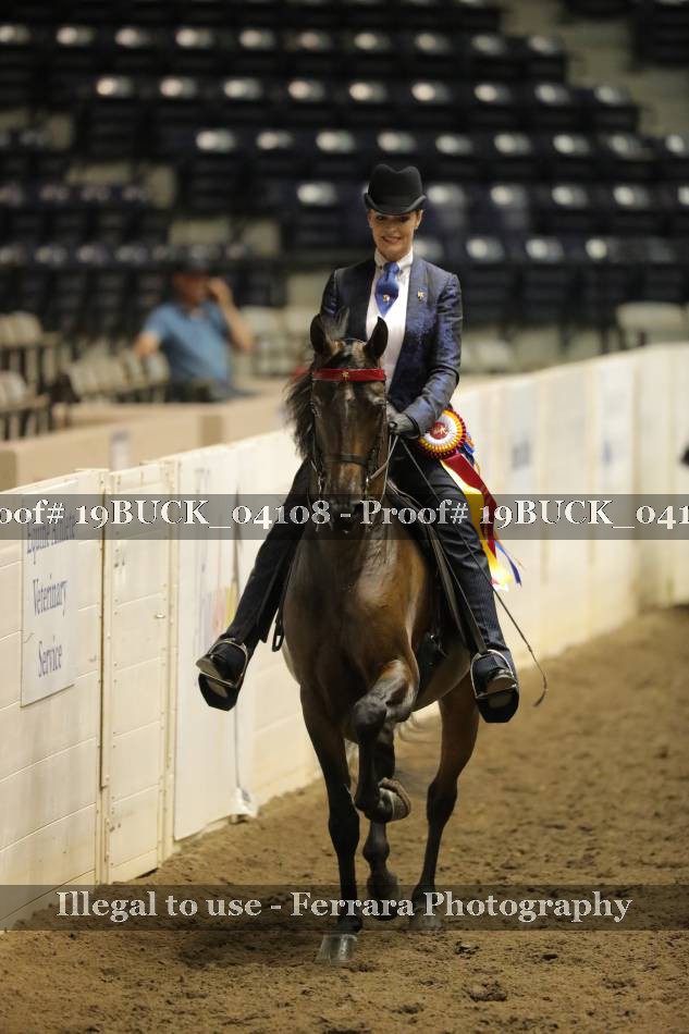 Proof 19BUCK_04108