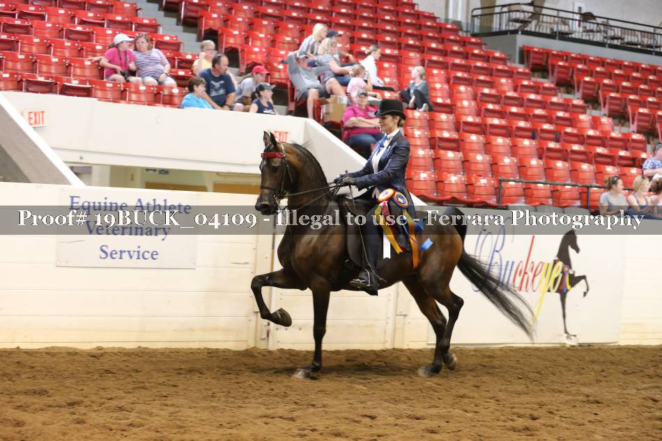 Proof 19BUCK_04109
