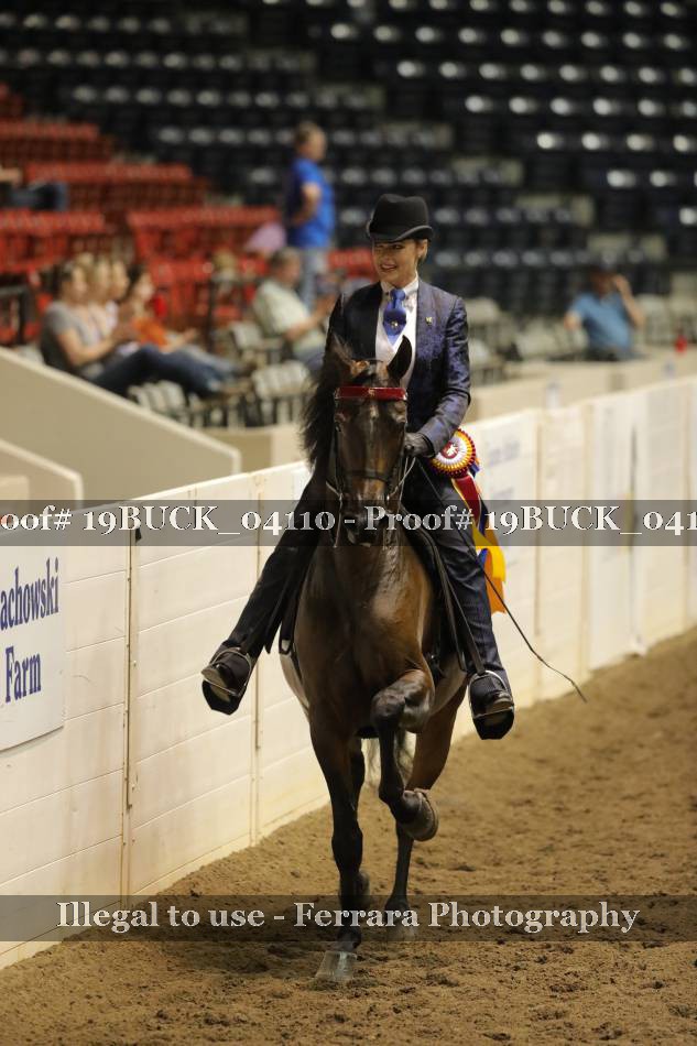 Proof 19BUCK_04110