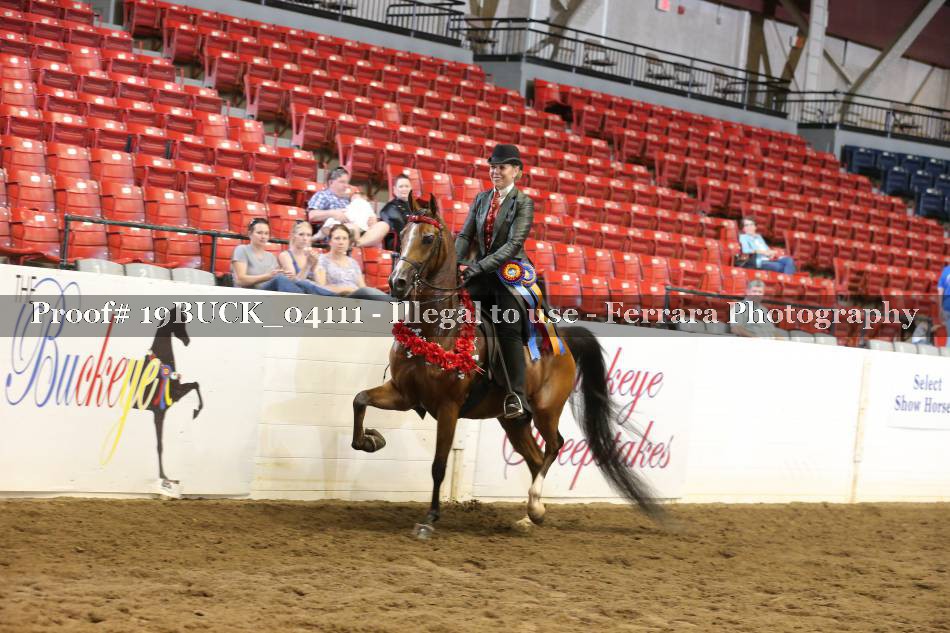 Proof 19BUCK_04111