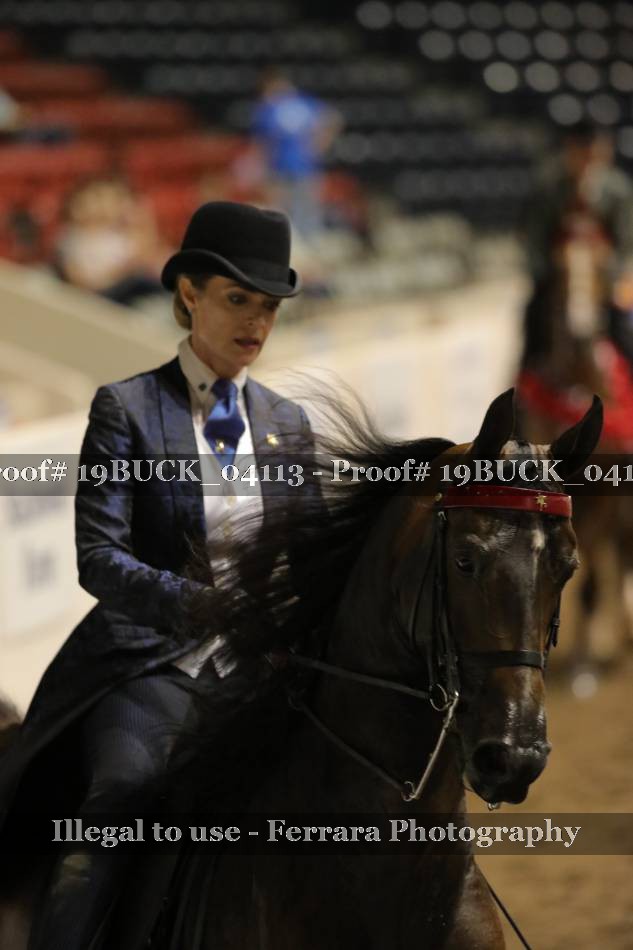 Proof 19BUCK_04113