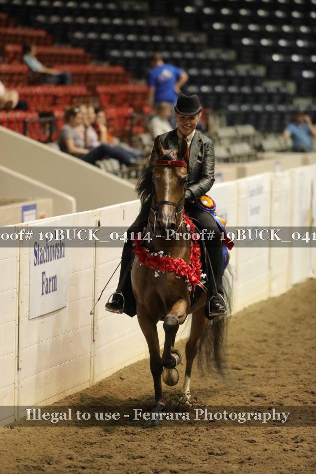 Proof 19BUCK_04114