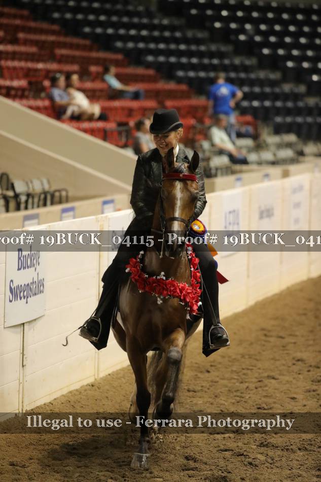 Proof 19BUCK_04115