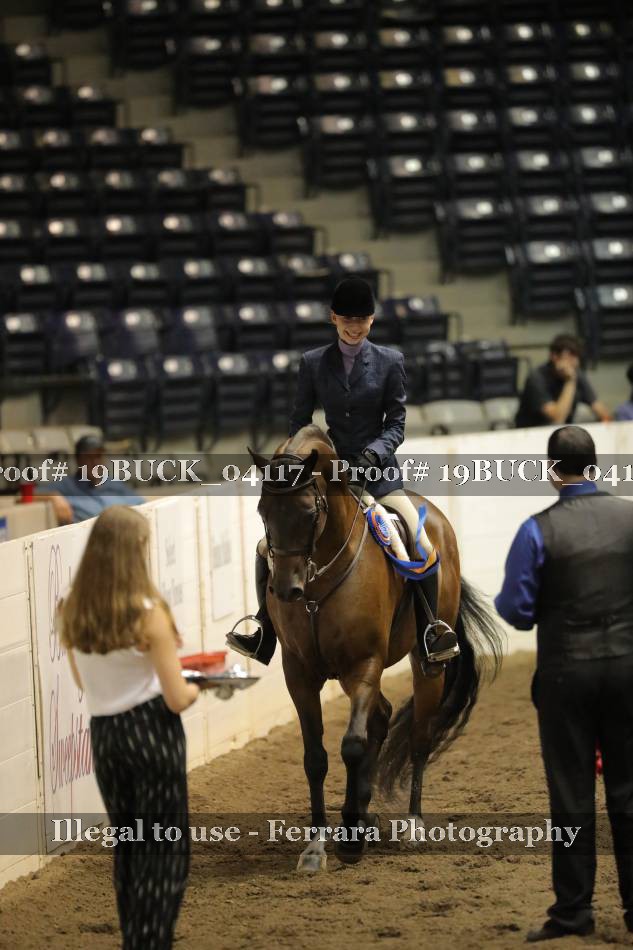 Proof 19BUCK_04117