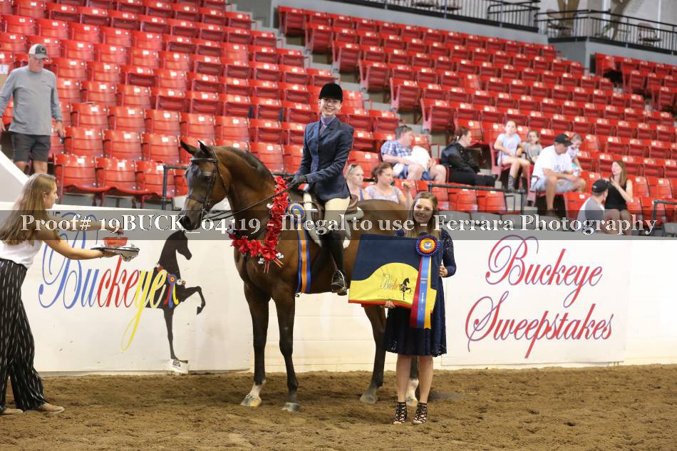 Proof 19BUCK_04119